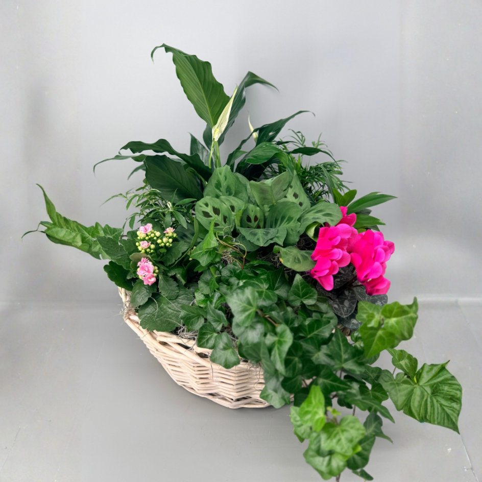European Garden Basket
