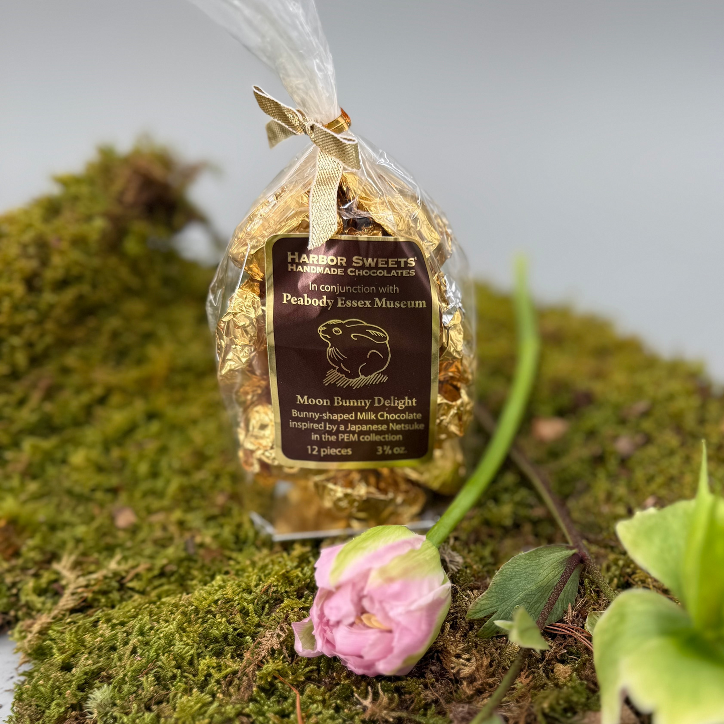 Milk Chocolate Moon Bunnies