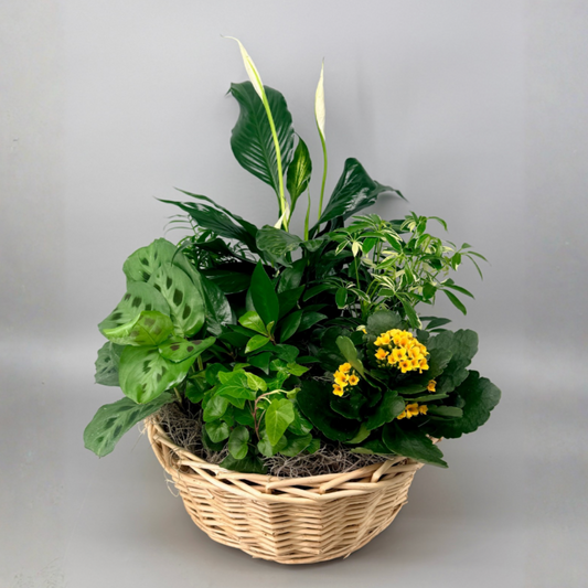 European Garden Basket