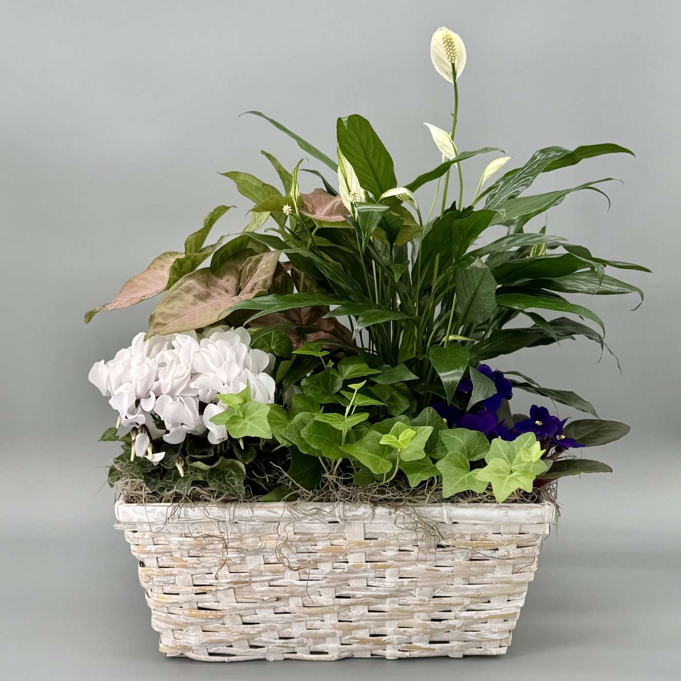 European Garden Basket