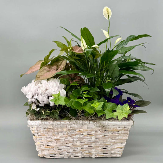 European Garden Basket