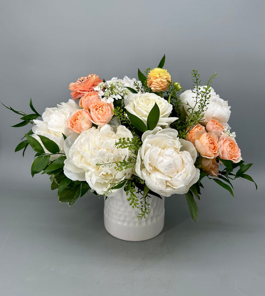 Peony Creamsicle (limited availability)