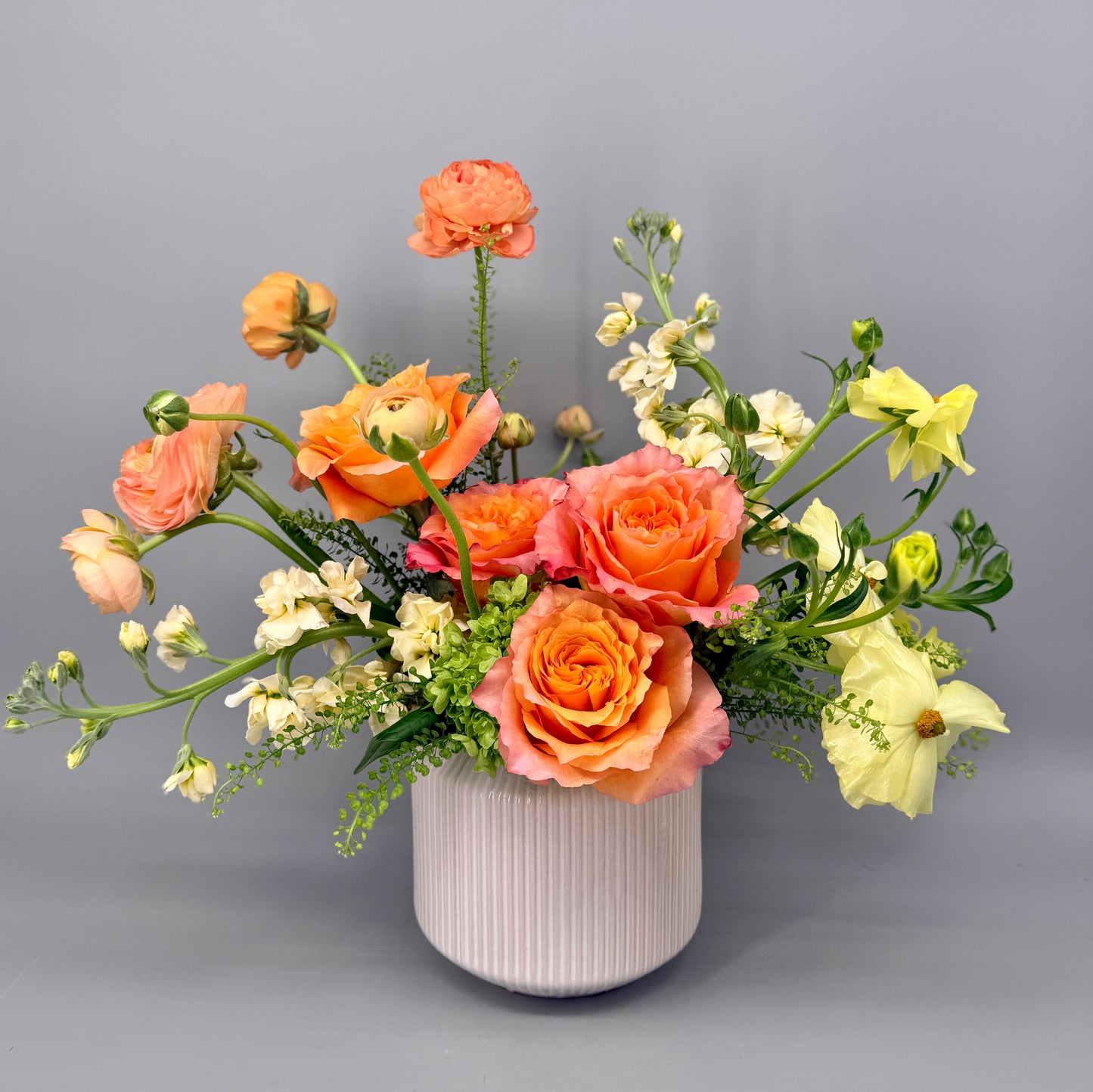 The Sun on Your Face