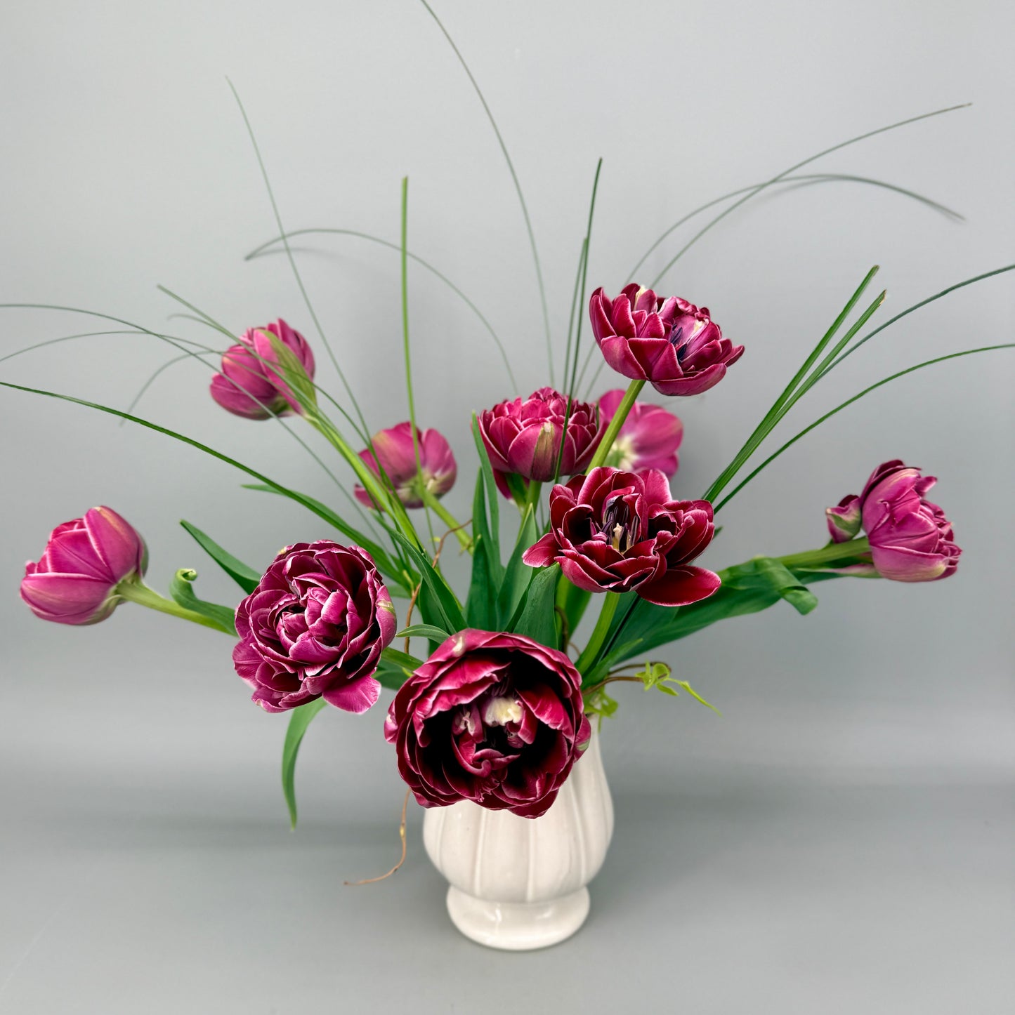 *LOCAL SPECIAL* - Dream Touch Tulip