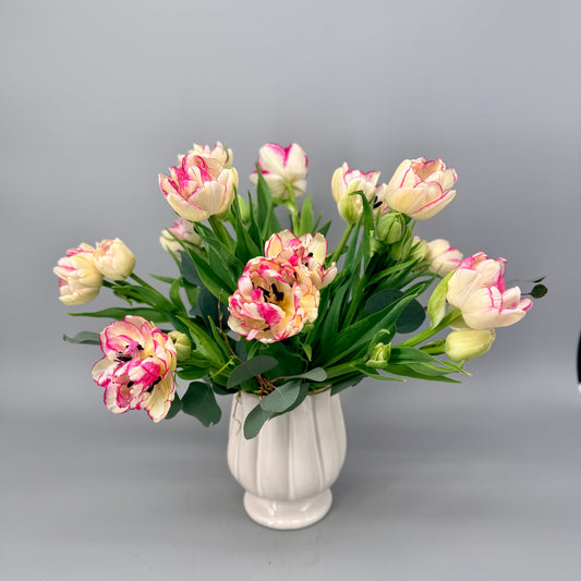 *LOCAL SPECIAL* - Belicia Double Tulip