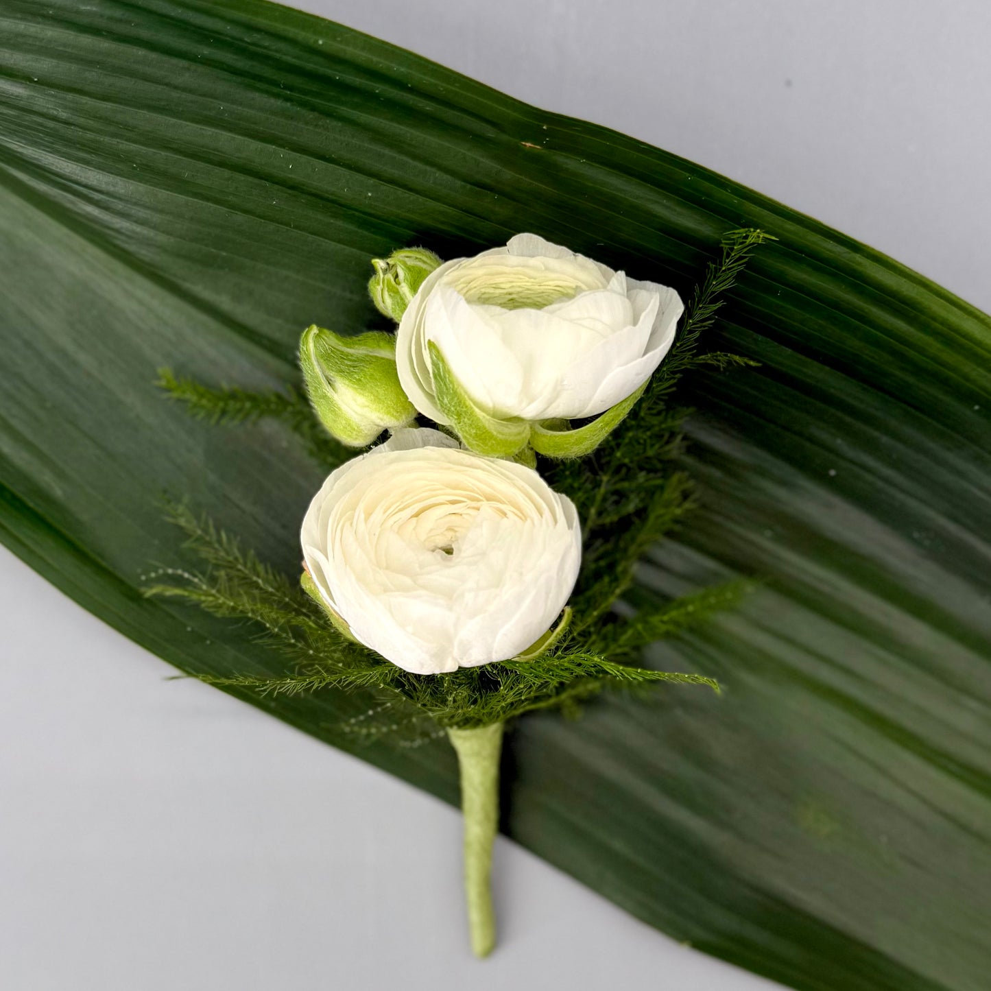 Ranunculus Boutonnière