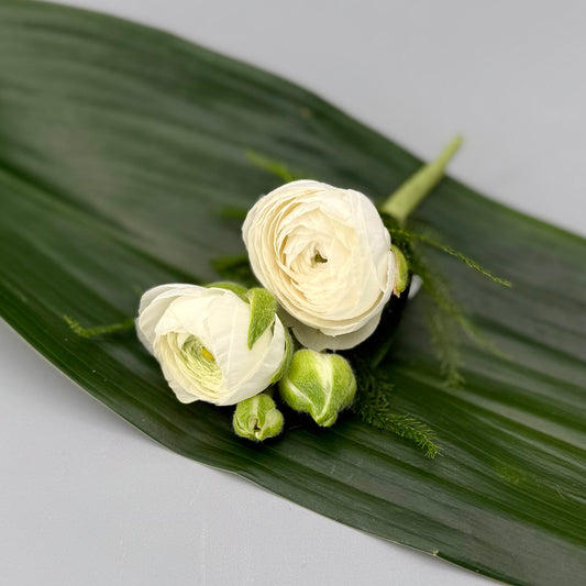 Ranunculus Boutonnière