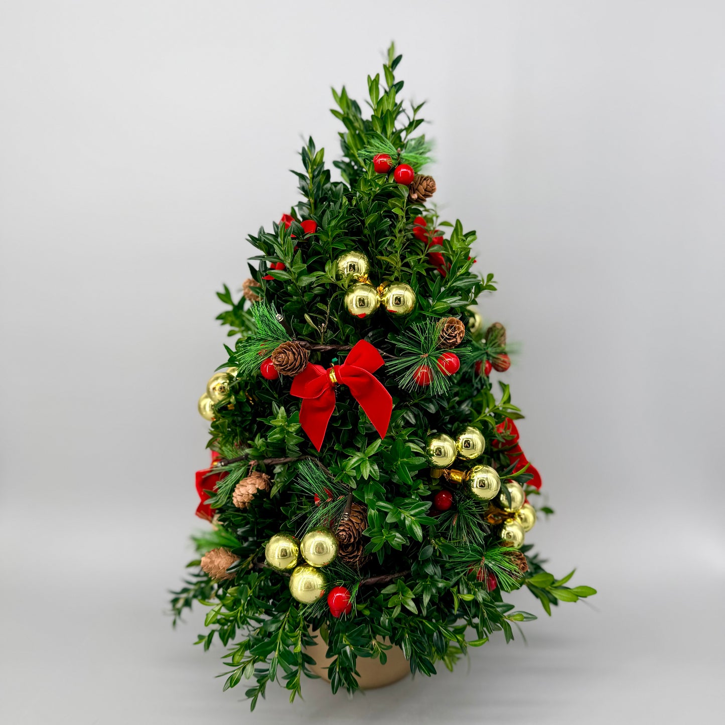 Traditional Boxwood Tree