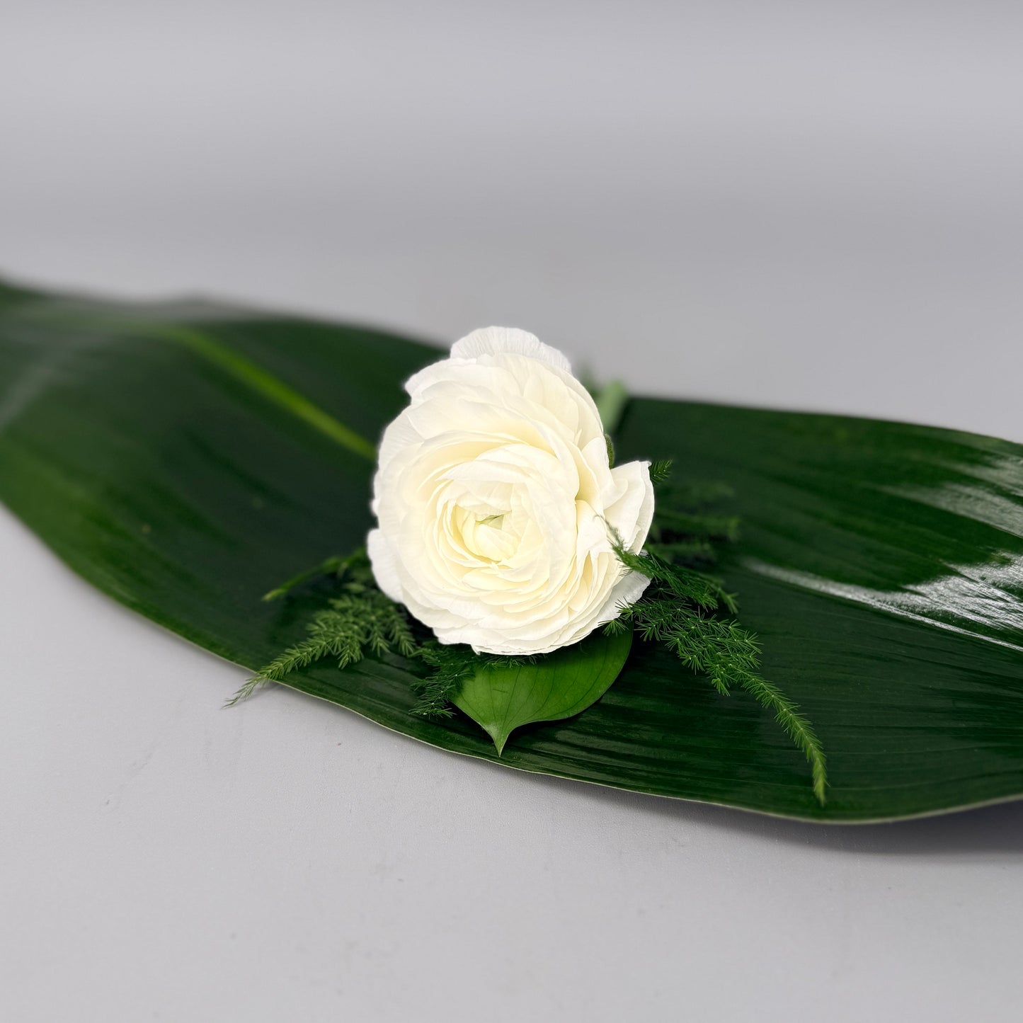 Ranunculus Boutonnière