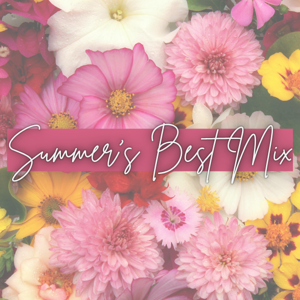 Summer's Best Mix
